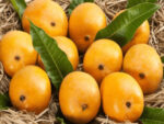 Devgad Alphonso Mangoes